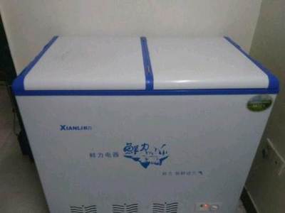 泉州豐澤區泉秀路冷凍一體冰箱及燒烤技術全套轉讓